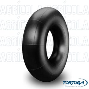 zot4fh68xr84kdl2uneg.jpg